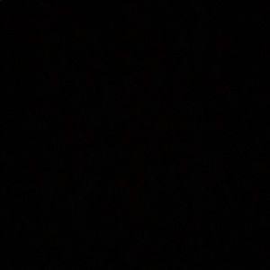 Meet your Posher, Dondi